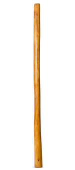 Gloss Finish Didgeridoo (TW1417)
